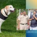 കള്ളൻ കപ്പലിൽ തന്നെ! ആളില്ലാത്ത വീട്ടിൽ നിന്ന് 25 പവൻ കവർന്ന അയൽവാസി പിടിയിൽ; പ്രതിയെ കുടുക്കി പോലീസ് നായ